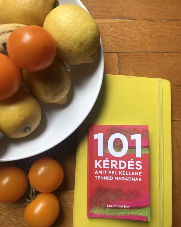 101 kérdés - Lucien del Mare